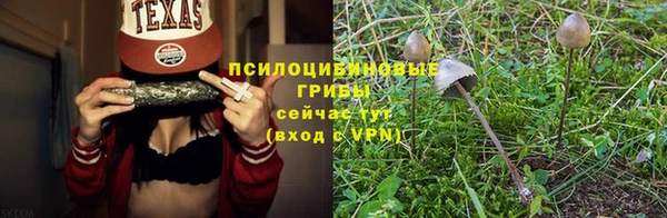 гашик Балабаново